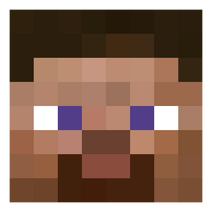 Steve head.png